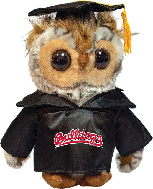 California State University Fresno 8'' Graduation Owl