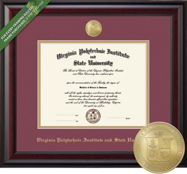Framing Success Classic 13.5 x 15.5 Diploma with Double mat and Medallion
