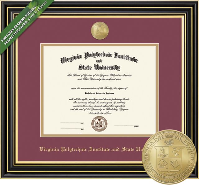 Framing Success Prestige 13.5 x 15.5 Diploma with Double mat and Medallion