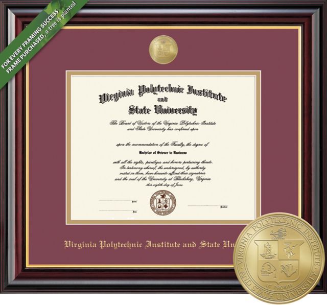 Framing Success Windsor 13.5 x 15.5 Diploma with Double mat and Medallion - ONLINE ONLY