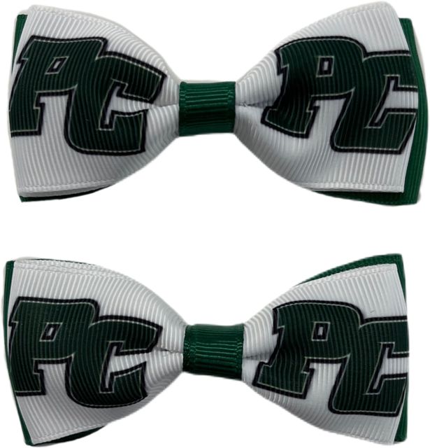 Pine Crest School Child Hairbow Pair