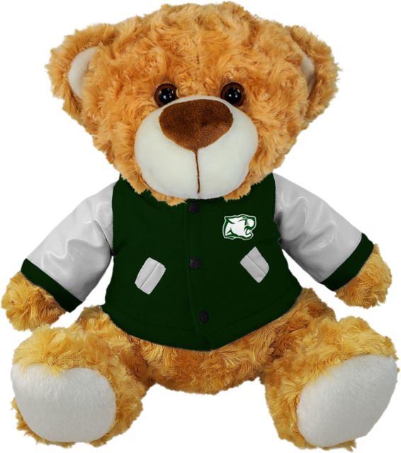 Pine Crest School 10" Bear