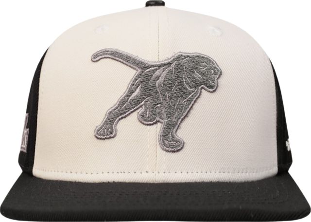 Prairie View A & M University Panthers Cap