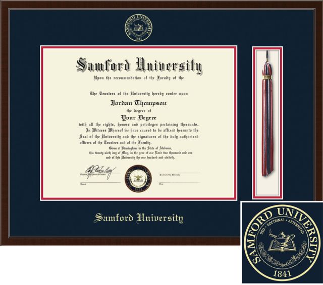 Church Hill Classics Tassel Diploma Frame. 11x14 Bachelors, Masters - ONLINE ONLY