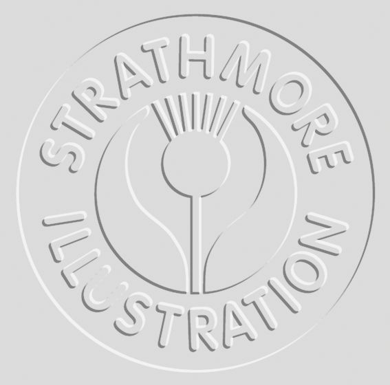 ILL BD HVY WT PLATE 15X20