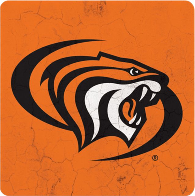 University of the Pacific Tigers 4'' x 4'' Coaster