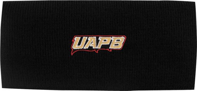 University of Arkansas at Pine Bluff Ear Band