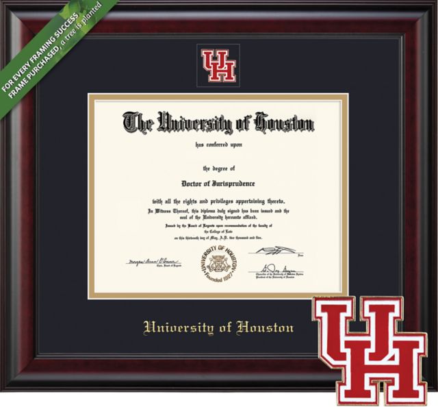 Framing Success Classic 11 x 14 Diploma with Double mat and Colored/Shaped Medallion