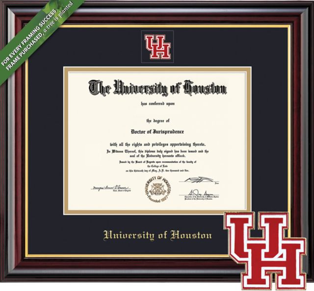 Framing Success Windsor 11 x 14 Diploma with Double mat and Colored/Shaped Medallion