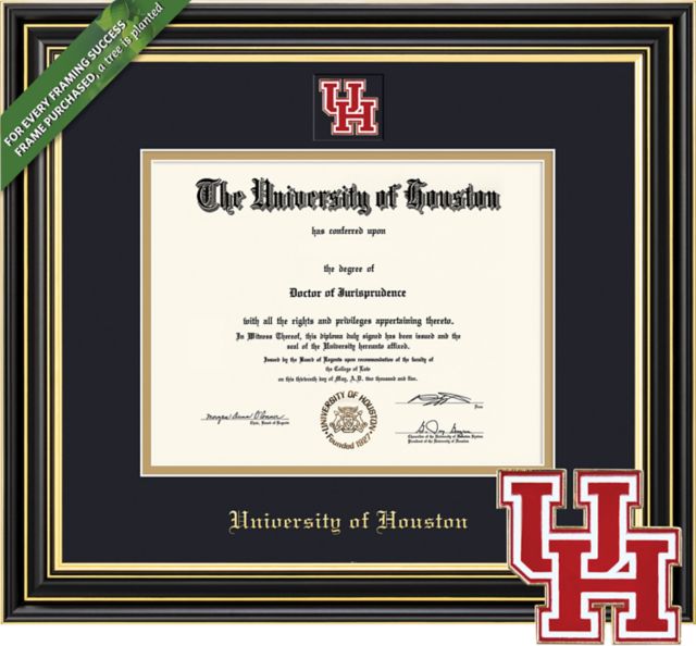 Framing Success Prestige 11 x 14 Diploma with Double mat and Colored/Shaped Medallion