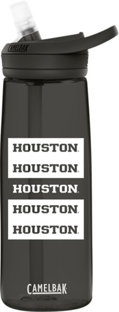 Houston 23 oz Stainless Steel Water Bottle w/ Handle