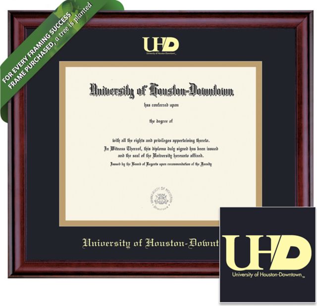 University of Houston - Downtown 11'' x 14'' Classic Diploma Frame