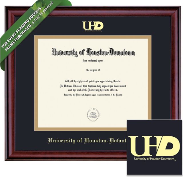 University of Houston - Downtown 11'' x 14'' Classic Diploma Frame