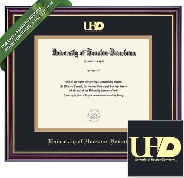 University of Houston - Downtown 11'' x 14'' Windsor Diploma Frame