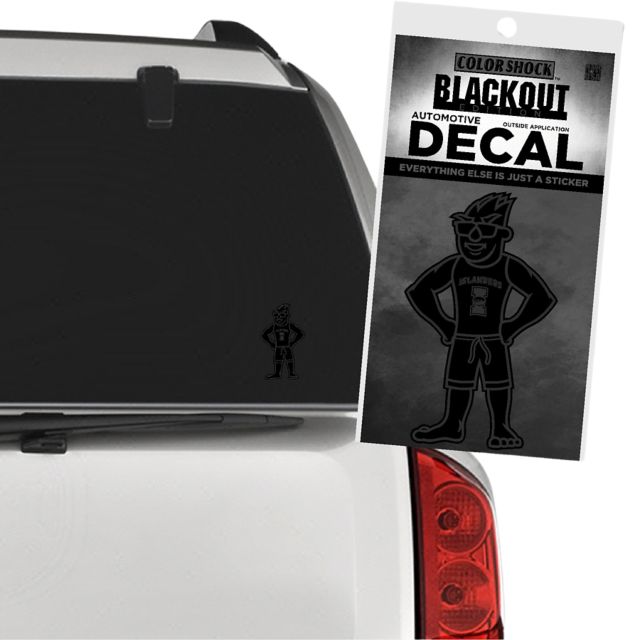 Texas A&M University-Corpus Christi Islanders Decal