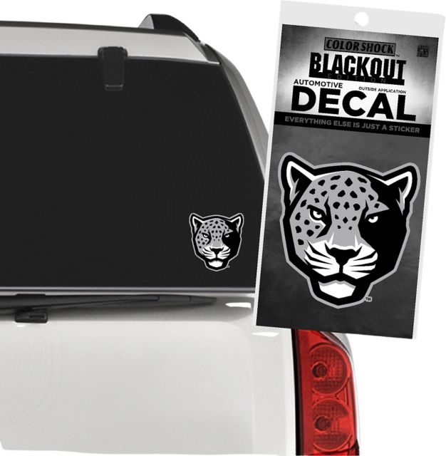 Texas A&M University-San Antonio Jaguars Decal
