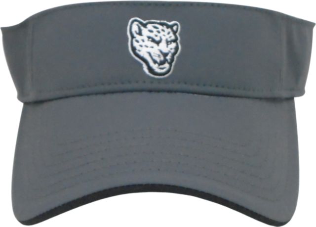 Texas A&M University-San Antonio Visor