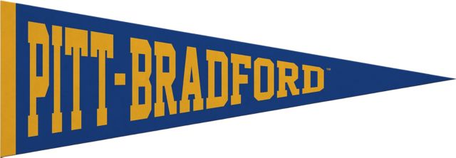 University of Pittsburgh at Bradford 5x15 Pennant
