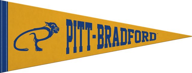 University of Pittsburgh at Bradford 9"X24" Full Color Pennant