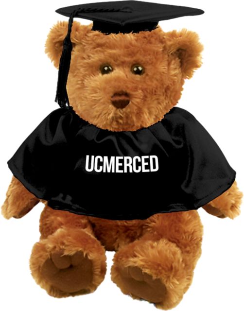 University of California, Merced Graduation Bear