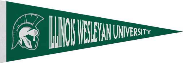 Illinois Wesleyan University Titans 5x15 Pennant