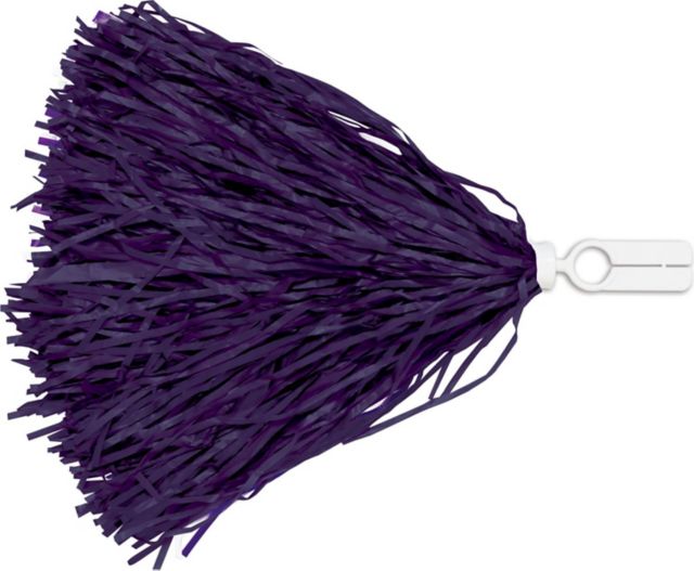 Texas Christian University Pompon