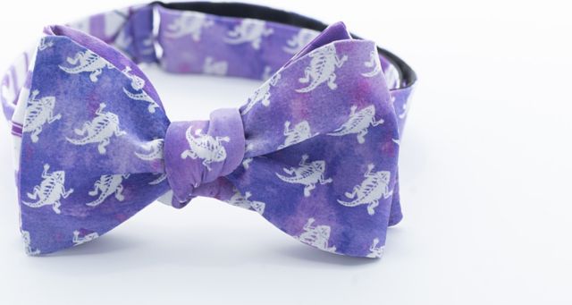 Texas Christian University Frog Squadron Bow Tie