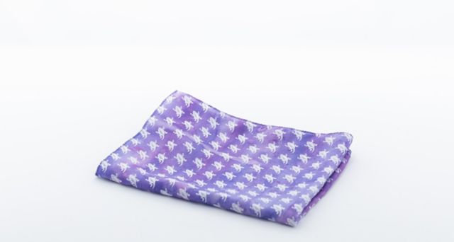 Texas Christian University Frog Squadron Scarf