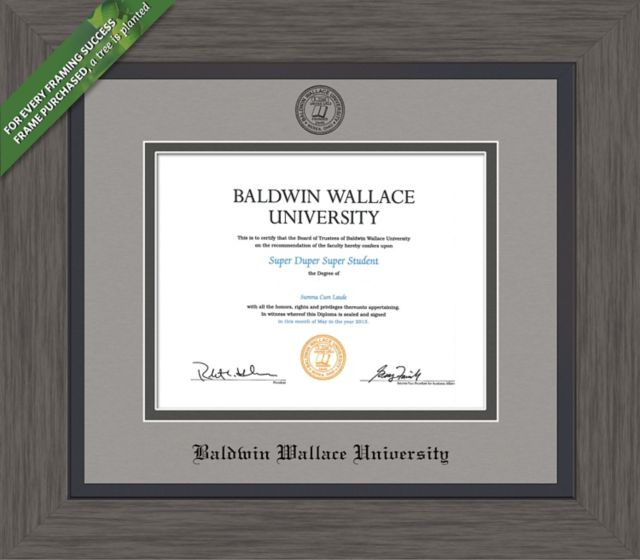Framing Success Greystone 8.5 X 11 Diploma With Double Mat - ONLINE ONLY