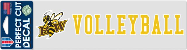 Baldwin Wallace University Volleyball 3'' x 10'' Perfect Cut Decal
