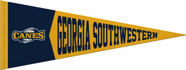 Georgia Southwestern State University 9x24 Pennant