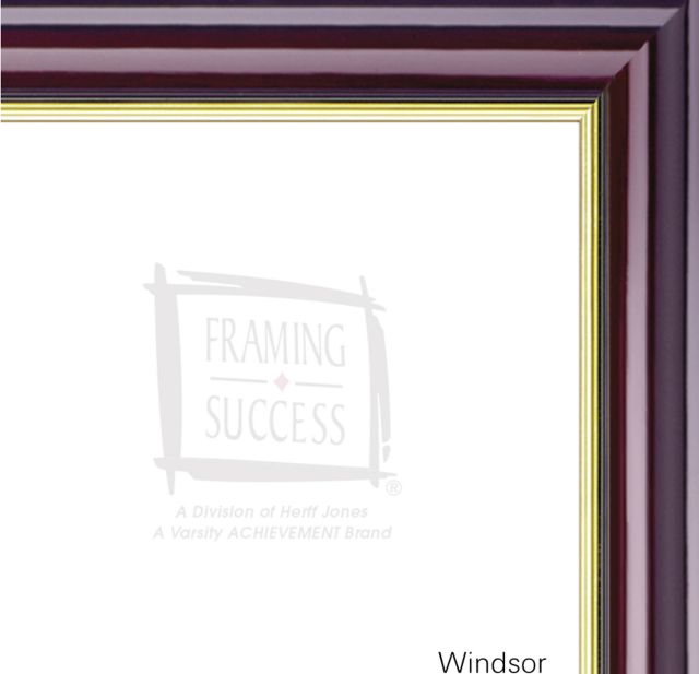 Delaware Valley University 8.5'' x 11'' Windsor Diploma Frame
