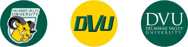 Delaware Valley University Aggies Mini Button - 3 Pack