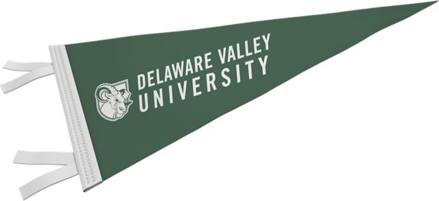 Delaware Valley University Aggies 12'' x 30'' Pennant