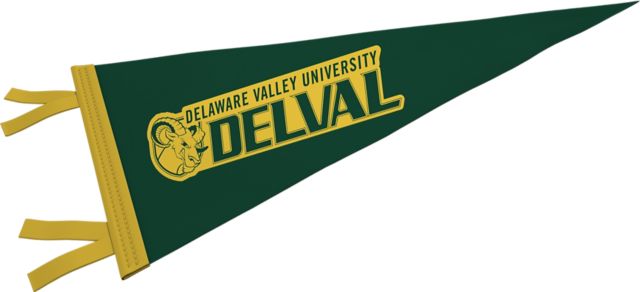Delaware Valley University Aggies 12'' x 30'' Pennant
