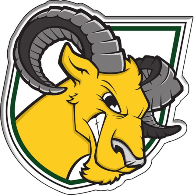 Delaware Valley University Aggies Lapel Pin