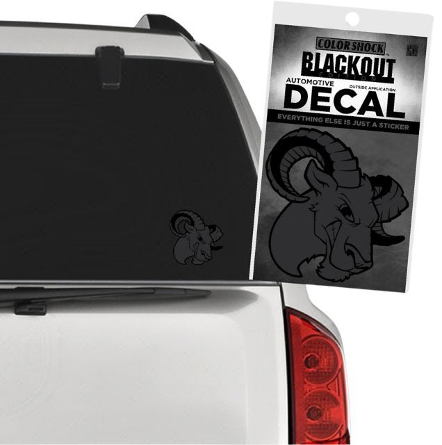 Delaware Valley University Aggies Decal