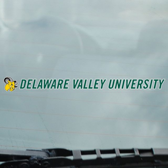 Delaware Valley University Aggies Strip Decal