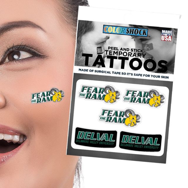 Delaware Valley University Aggies Mini Decal