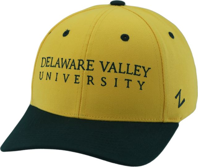 Delaware Valley University Adjustable Performance Cap