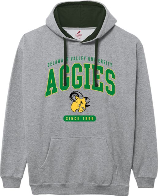 Delaware Valley University Aggies Hooded Sweatshirt