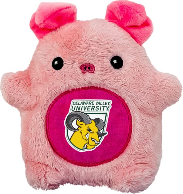 Delaware Valley University Aggies 4.5'' Fancake Plush