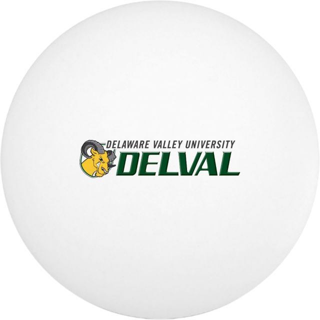 Delaware Valley University Aggies Ping Pong Balls 6-Pack