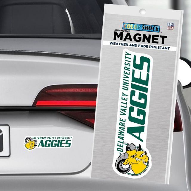 Delaware Valley University Aggies 4'' x 4'' Magnet