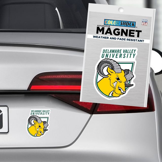Delaware Valley University Aggies 4'' x 4'' Magnet