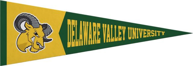 Delaware Valley University 5x15 Pennant