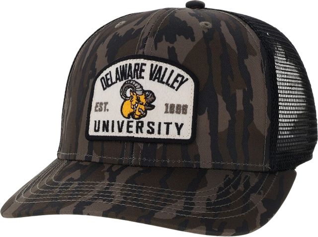 Delaware Valley University Aggies Cap