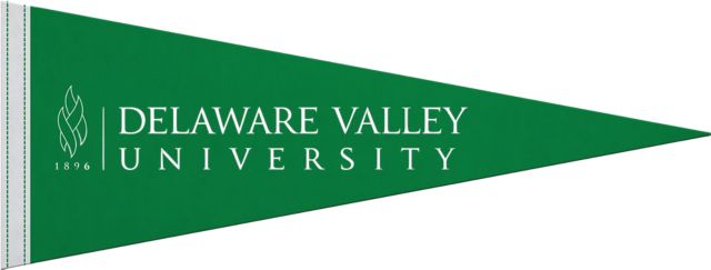 Delaware Valley University 9x24 Pennant