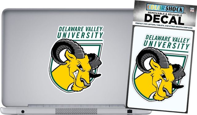 Delaware Valley University Aggies 42 Sq In. Removable Decal