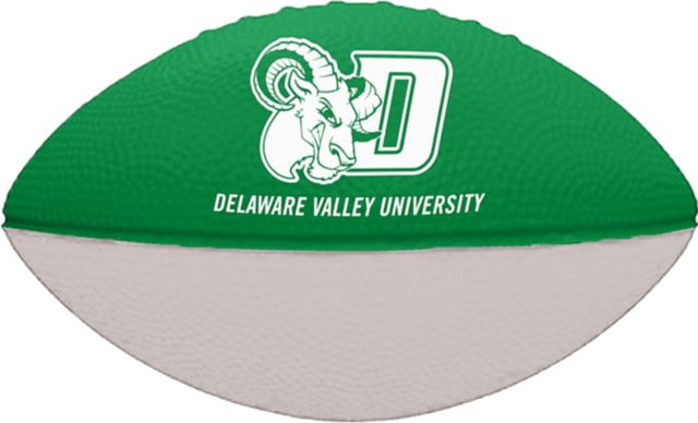 Delaware Valley University Aggies 6" Foam Football